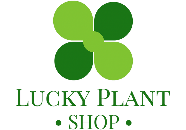Lucky Plant Shop